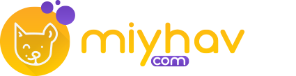 Miyhav