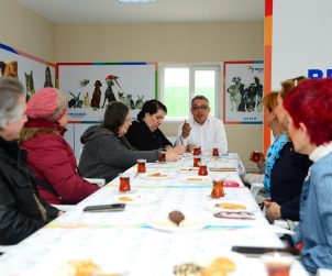 Beylikdüzü'nde Kedi Beslenme ve Yaşam Alanı Projesi