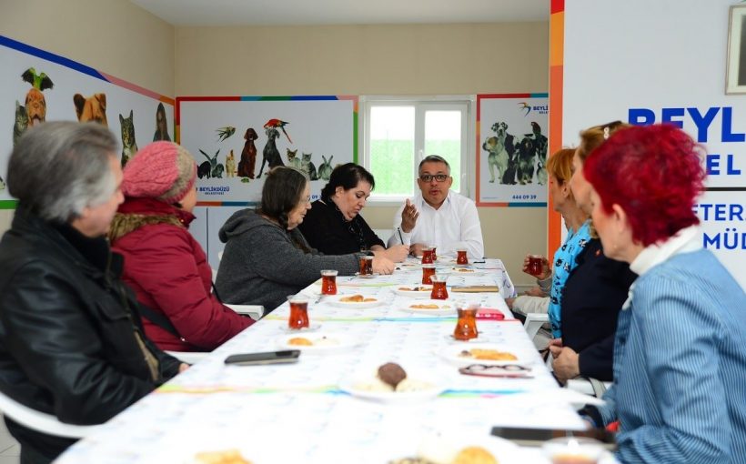 Beylikdüzü'nde Kedi Beslenme ve Yaşam Alanı Projesi