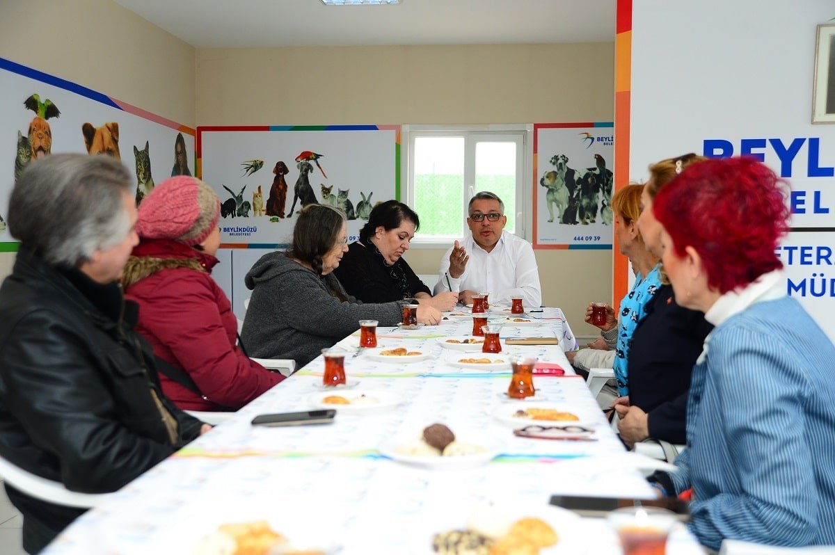 Beylikdüzü’nde Kedi Beslenme ve Yaşam Alanı Projesi