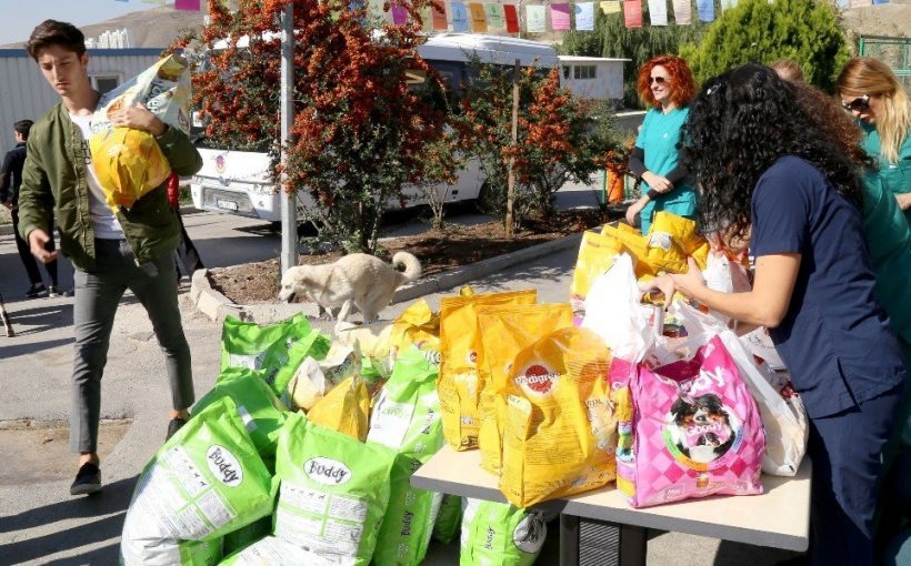 Sokak Hayvanlarına 2 Tonu Aşkın Mama Bağışı Yapıldı