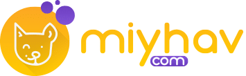 miyhav.com