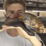 Dünyanın En Büyük Salyangozu