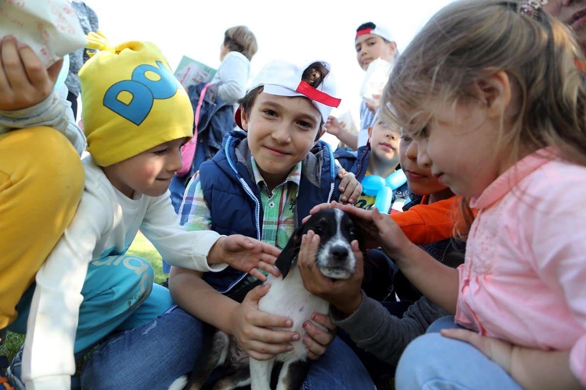 Tekirdağ’da “Mutlu Pati” Şenliği