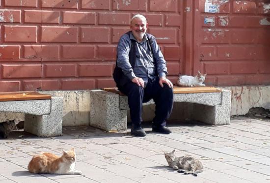 Camiye Giderken Bulduğu Kedi Hayatını Değiştirdi