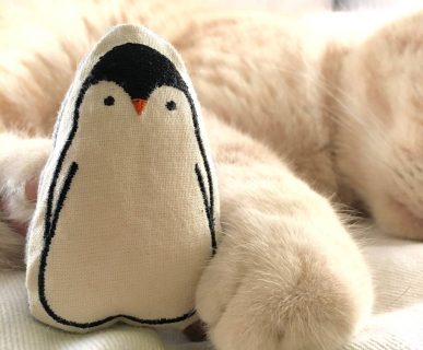 Kedi Oyuncakları
