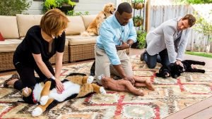 Köpeklere Kalp Masajı Nasıl Yapılır?