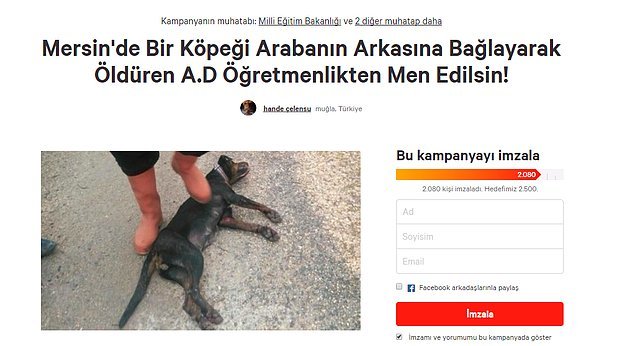 Köpek katili A.D.