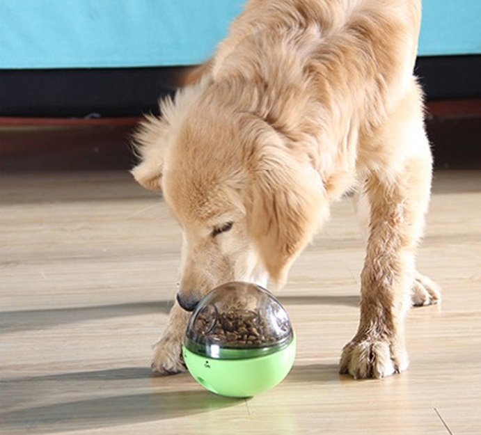 Our Pets Smarter İnteraktif IQ Köpek Oyuncak Topu
