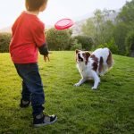 Köpekler için Egzersiz Önerileri