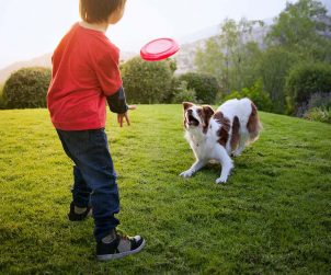 Köpekler için Egzersiz Önerileri