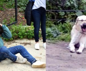 16 Yaşındaki Genç Köpeğe Tecavüz İddiasıyla Tartaklandı