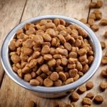 Köpek Maması Yapımı & Tarifleri