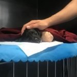 Sakarya'da Bacakları Kesilen Yavru Köpek Kurtarılamadı