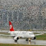 Kuşlara Demeliyiz ki Siz Artık Buradan Uçmayın!