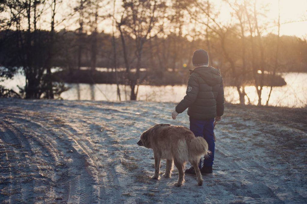 Kış Aylarında Köpek Bakımı