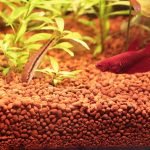 Bitkili Akvaryum Kumu