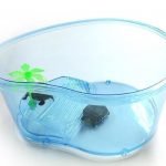 Kaplumbağanızı Ölüm Fanusundan Uzak Tutun!