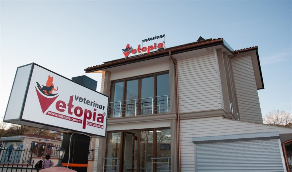 327-dis-gorunus-1032×609