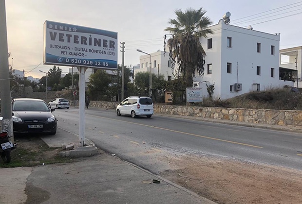 Medicus_Veritas_vet_1