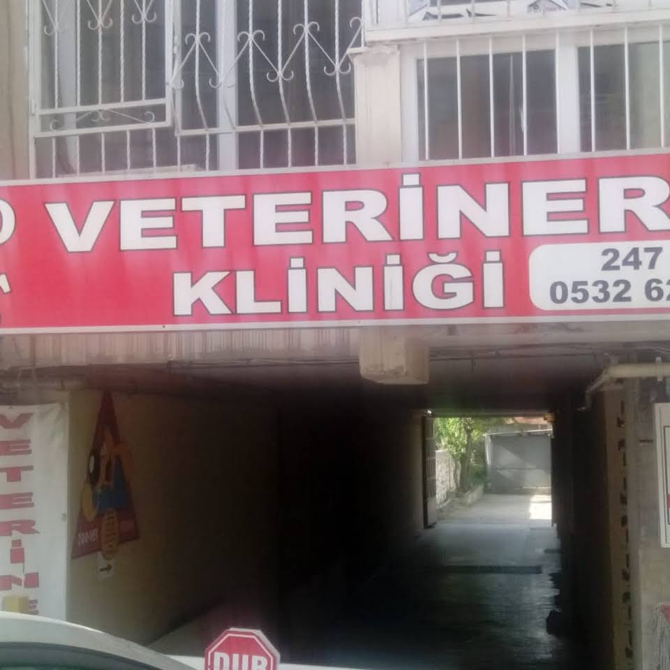 WhatsApp Image 2020-01-21 at 01.08.17 (2)