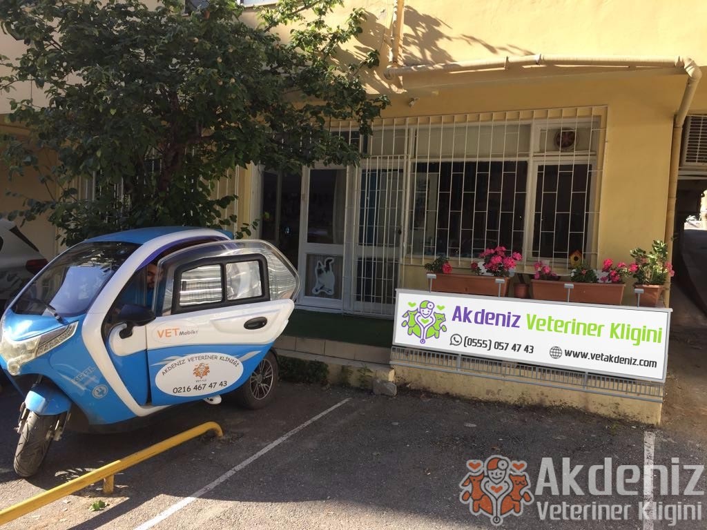 Akdeniz Veteriner Kliniği