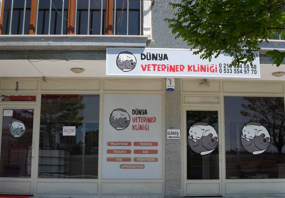 Dünya Veteriner Kliniği