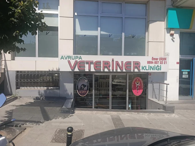 A Vet Avrupa Veteriner Kliniği